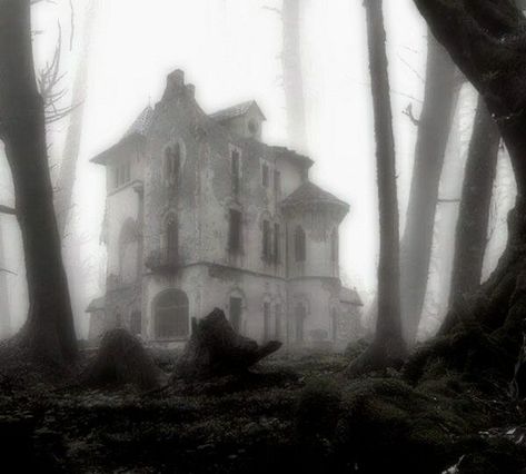 melinoe aesthetic Creepy Cute Aesthetic, Eerie Places, Dark Naturalism, White Goth, Dark Nature Aesthetic, Abandoned House, Angel Aesthetic, Southern Gothic, Gothic Aesthetic