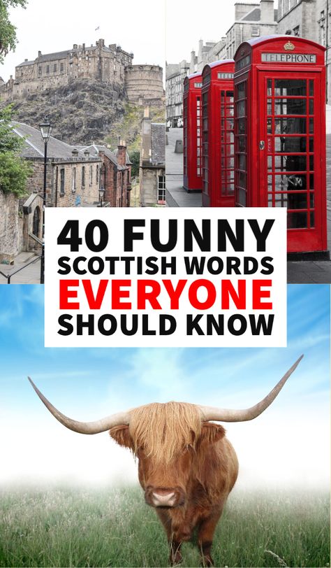 40 Phenomenal Scottish Slang Words and Funny Scottish Lingo Scottish Quotes Funny, Scottish Slang Sayings, Funny Scottish Sayings, Scottish Slang Words, Scottish Crafts Ideas, Scottish Party Ideas, Scottish Words And Meanings, Scotland Tattoo Ideas, Scotland Party