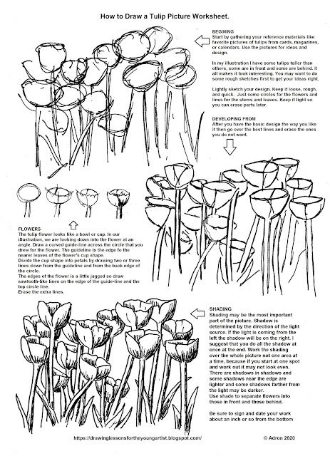 Draw Tulip, Draw A Tulip, Flowers From Paper, Nature Sketches, Tulip Drawing, Botanical Sketchbook, Tulip Garden, Flower Drawing Tutorials, Practice Drawing