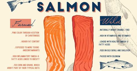 Salmon Quotes, Seafood Packaging Design, Salmon Poke, Salmon Farming, Sushi Menu, Pesto Salmon, Sign Painter, Wild Caught Salmon, Fish Feed