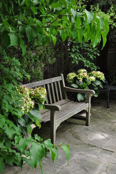 What could be better than sitting under an arbor covered in Wisteria blossoms? An arbor style bench is the first on my list of 10 great garden benches.   See all 10:   http://threedogsinagarden.blogspot.ca/2014/03/take-seat-10-great-garden-benches.html Potted Hydrangea, Poolside Garden, Garden Globes, Garden Benches, Garden Storage Shed, Texas House, Three Dogs, Outdoor Sheds, Garden Rooms