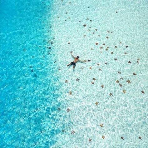 Paradise Beach Cozumel, Cozumel Snorkeling, Cozumel Cruise, Beach Vacation Spots, Best Snorkeling, Cozumel Mexico, Cruise Holidays, Drone Photos, Beach Paradise