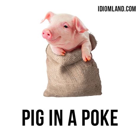 Hi there! Our #idiom of the day is ”Buy a pig in a poke,” which means “to buy something without seeing it or knowing anything about it.” The idiom was first recorded in John Heywood's 1562 collection of proverbs. #english #idioms piginapoke Pig In A Poke, Flashcard App, Slang Phrases, Idiomatic Expressions, Idioms And Phrases, Lord Of The Flies, European Languages, Italian Bags, Being A Teacher