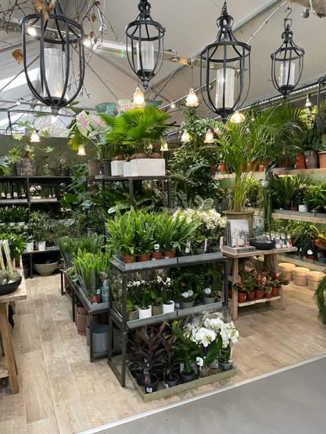 Garden Shop Design, Plant Shop Decor, Boutique Plant Shop, Christmas Shop Displays, Garden Center Displays, Indoor Plant Display, Nursery Layout, Plant Display Ideas, Flower Shop Design