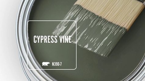 CYPRESS VINE N390-7 | Behr Paint Colors Behr Cypress Vine, Cypress Vine, Interior Wall Colors, Behr Paint Colors, House Color Palettes, Behr Paint, Favorite Paint Colors, Color Vibe, Green Paint Colors