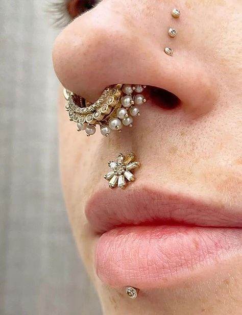 Services – Identity Body Piercing Unique Nostril Piercing, Piercing Inspo Face, Septum Stack, Piercing Photography, Piercing Styling, Jestrum Piercing, 3 Lobe Piercings, Bridge Piercing, Septum Piercing Jewelry