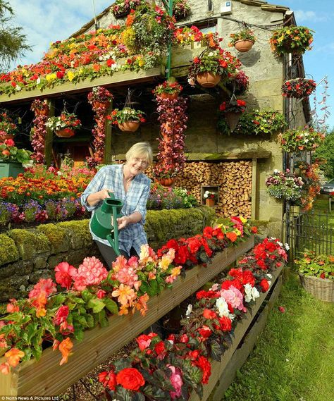 Blooming beautiful: Couple spend every evening and weekend for TWENTY-SIX YEARS covering their house in flowers. Beautiful Flowers Garden, Gorgeous Gardens, Dream Garden, Vertical Garden, Garden And Yard, Summer Decor, Garden Beds, Cottage Garden, Garden Inspiration