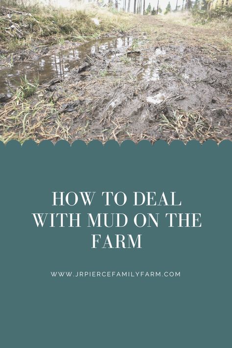 Mud on the farm can be a farmer's worst nightmare. It not only slows down production, it is dangerous and difficult to navigate around in tractors or other vehicles. Here are some tips for dealing with mud on the farm. #mudonthefarm #dealingwithmud #gardeningtips #farmingtips #farminghacks #homesteading #jrpiercefamilyfarm Milk Parlor, Mud Control, Mud Management, Cow Pen, Manure Management, Goat Pen, Farm Hacks, Drainage Ditch, Cow Pasture