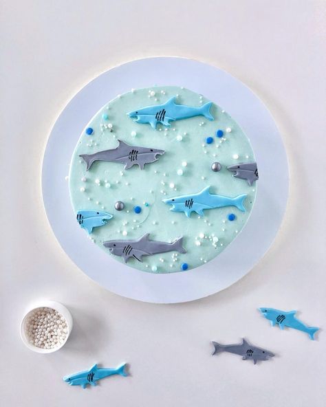 Eat Cake Be Merry - Liz Shim on Instagram: “For my shark lovin’ son on his 5th birthday! This was inspired by one of his favorite t-shirts. 🦈 The sharks were cut out of fondant. I…” Shark Cookie Cake, Shark Fin Cake, Ocean Mansion, Aba Crafts, Shark Themed Cakes, Ocean Birthday Cakes, Shark Birthday Cakes, Shark Cookies, Ocean Cakes