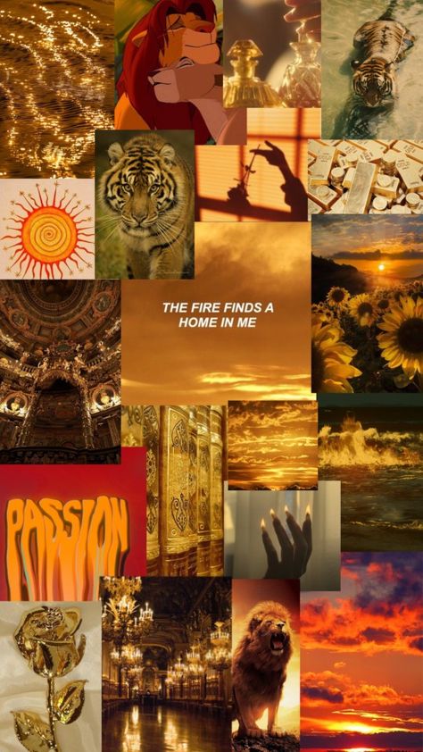 Star sign / zodiac sign of LEO wallpaper with tigers, lions,golden rose, lion king, fire, gold asthetic sun sets and more ... Leo Aesthetic Wallpaper Iphone, Leo Zodiac Wallpaper Aesthetic, Zodiac Signs Wallpaper, Leo Wallpaper, Signs Wallpaper, Aries Wallpaper, Zodiac Leo Art, Tiger Zodiac, Fire Lion