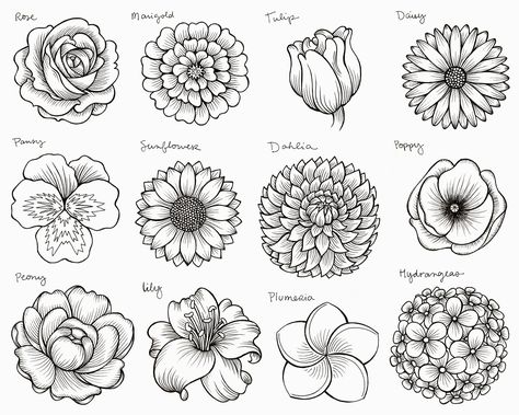 Simple Flower Drawing, Doodle Art Flowers, Flower Drawing Tutorials, Different Types Of Flowers, Flower Drawing Design, Flower Outline, Flower Art Drawing, Flower Sketches, Floral Drawing