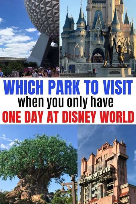 Headed to Walt Disney World for one day and not sure which park to visit? From tips to narrow it down to how to maximize your time in the park, here's the scoop on the best Disney World park for one day. #Disney #Travel #WDW #DisneyWorld #FamilyTravel #DisneyPlanning #DisneyTips Disney World Itinerary, Disney World For Adults, Disney World Secrets, Disney World Christmas, Disney World Hotels, Disney World Tickets, Disney Blog, Disney Orlando, Disney World Florida