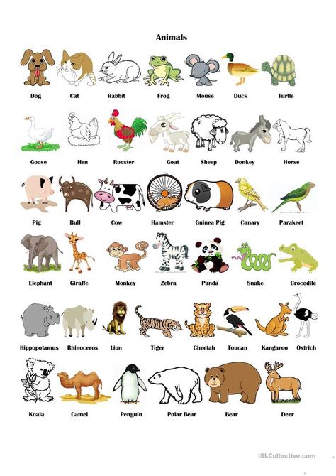 Gender Of Animals, Animal Writing, Farm Animals Preschool, Animals Name In English, Animal Names, Learning English For Kids, Picture Dictionary, Kids English, List Of Animals