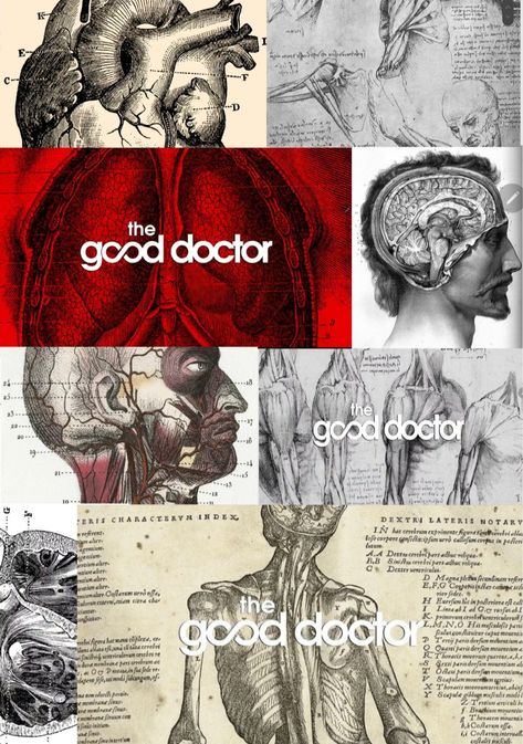 The good doctor The Good Doctor Wallpaper Aesthetic, The Good Doctor Fanart, Pathology Wallpaper, Good Doctor Wallpaper, Good Doctor Series, The Good Dr, Medical Poster, Shaun Murphy, The Good Doctor