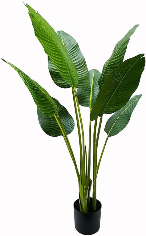 Banana Tree Wallpaper, Travelers Palm, Artificial Cherry Blossom Tree, Birds Of Paradise Plant, Palm Tree Decorations, Travellers Palm, Bird Of Paradise Plant, Paradise Plant, Artificial Birds