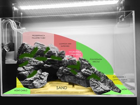 2ft Aquascape, Aquarium Layout, Aquarium Rocks, Aquascape Design, Fish Tank Design, Tropical Fish Tanks, Fresh Water Fish Tank, Nano Aquarium, Shrimp Tank