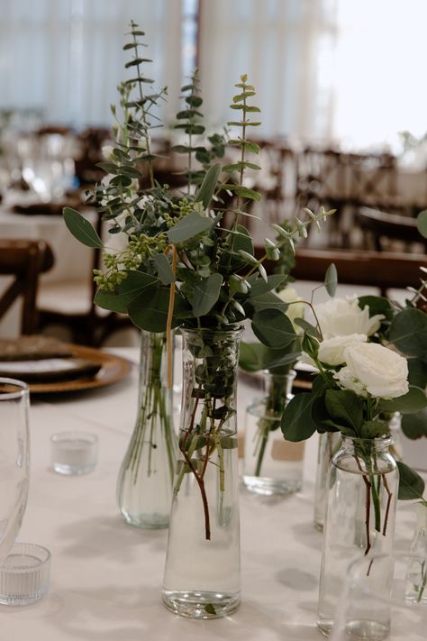 A photo of what our center pieces looked like at our wedding. we loved these and thought they were the perfect decor piece! #ad Houseplant Wedding Table Decor, Green Plant Wedding Decor, Greenery Bud Vases Wedding, Pothos Centerpieces, Wedding Plant Centerpieces, Propagation Centerpiece Wedding, Pothos Centerpieces Wedding, Wedding Bud Vases Centerpiece, Potted Plants Wedding Decor