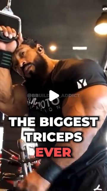 Chest And Tricep Workout For Men, Bicep Superset Workout, Tricep Workout Men, Workout For Men, Chest Workouts For Men, Tricep Workout Gym, Best Bicep Workout, Arm Workout Men, Back Workout Bodybuilding