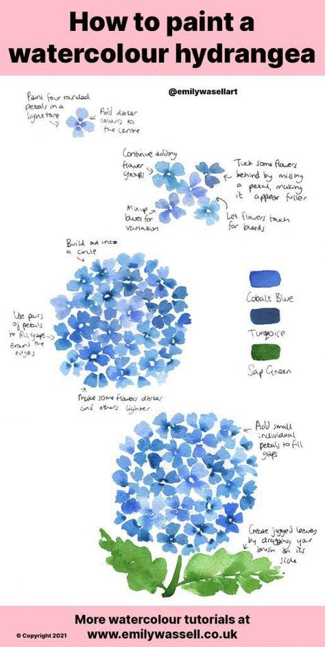 Hydrangeas Painting Easy, Watercolour Hydrangeas How To Paint, Painting Hydrangeas Watercolor, Hydrangea How To Draw, Hydrangea Drawing Tutorials, Watercolor Flowers Hydrangea, Watercolor Art Hydrangea, Step By Step Hydrangea Painting, Diy Hydrangea Painting