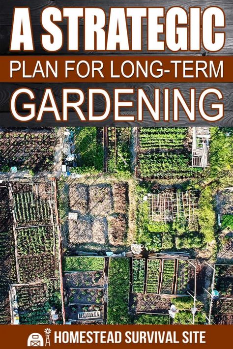 Homestead Garden Layout, Survival Garden, Companion Gardening, Garden Companion Planting, Succession Planting, Strategic Plan, Homestead Gardens, Planting Plan, Permaculture Gardening