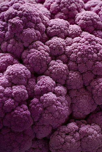 Purple | Porpora | Pourpre | Morado | Lilla | 紫 | Roxo | Colour | Texture | Pattern | Style | Form | Purple Cauliflower, Foto Macro, Purple Food, Food Texture, Texture Inspiration, Texture Photography, Pastel Decor, 수채화 그림, Foto Inspiration