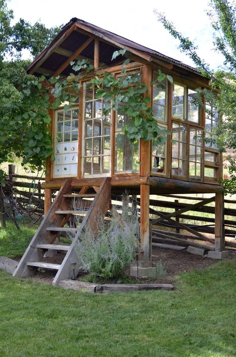 Of the shed's 30 windows, all but eight of them can actually be opened. It was built entirely with recycled materials, and though it took two years to finish, it only cost $600. Tabletop Greenhouse, Recycled Windows, Outdoor Sheds, She Sheds, Diy Shed, Shed Design, Building A Shed, Shed Plans, Wooden House