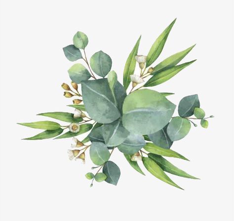 green leaf,green,leaf,flower,watercolor,cartoon,hand,decorate,Watercolor clipart,green clipart,leaves clipart,watercolor clipart,green clipart,leaves clipart Leaves Wall Art, Leaves And Branches, Feuille Eucalyptus, Green Eucalyptus, Watercolor Bouquet, Wreath Watercolor, Leaf Wall Art, Watercolor Leaves, Eucalyptus Leaves