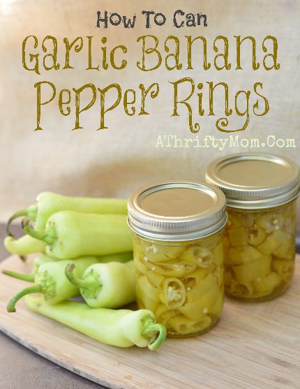 Can Garlic, Pickling Veggies, Pickle Board, Serbian Cuisine, Canning Garden, Garden Peppers, Canning Banana Peppers, Banana Pepper Rings, Recipes With Banana Peppers