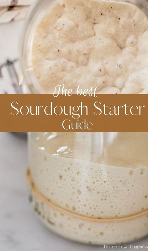 A detailed guide on creating your own sourdough starter - step by step. Includes all you need to know to nurture a starter plus frequently asked questions. Sourdough starter - Sourdough Recipe - Sourdough Starter Recipe - Creating a Sourdough Starter - Sourdough Starter Maintenance - Maintaining a Sourdough Starter Best Sourdough Starter Recipe, Dough Starter Recipe, Make Sourdough Starter, Sourdough Starter From Scratch, Sourdough Bread Starter, Dough Starter, Bread Sourdough, Sourdough Starter Discard Recipe, Starter Recipe