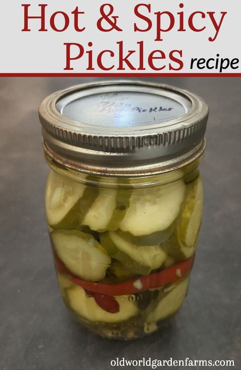 Canning Spicy Pickles Recipe, Spicy Hot Pickles Recipe, Hot Pickles Canning, Hot Refrigerator Pickles, Homemade Spicy Pickles Recipes, Sweet Hot Pickles Canning Recipe, Spicy Canned Pickles, Sweet And Hot Pickles Canning, Hot And Spicy Pickles