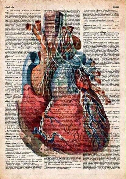 Vintage Medical Art, Quirky Interior, Anatomy Wall Art, Anatomical Heart Art, Medical Drawings, Medical School Life, Medical Posters, Med School Motivation, Medical Wallpaper