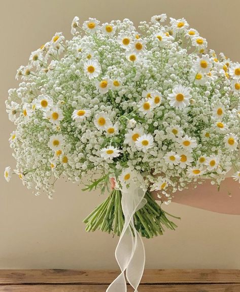 White Rose Daisy Bouquet, Chamomile Daisy Bouquet, Daisy Themed Wedding Ideas, Camomile Wedding Bouquet, Lily Of The Valley And Daisy Bouquet, Tulips And Daisy Bouquet, Wedding Bouquets Daisies, Wedding Bouquets With Daisies, Daisy And Baby Breath Bouquet