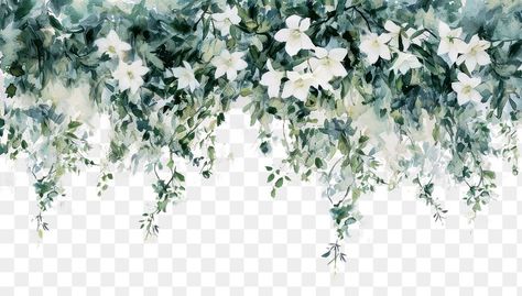 Hanging Flowers Illustration, White Flower Png, Png Nature, Aesthetic Pngs, Border Transparent, Png Border, Flower Png Images, Image Overlay, Wallpaper Flower