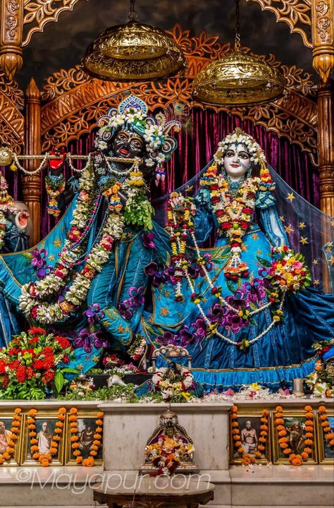 Barsana Temple, Radha Rani Barsana, Akhanda Bharat, Photos Of Lord Krishna, Lord Radha, Radha Krishna Temple, Krishna Holi, Radha Radha, Radha Krishna Holi