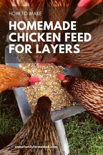 Chicken Yards, Chicken Feed Recipe, Chicken Layer Feed, Homemade Chicken Feed, Chicken Feed Diy, Food For Chickens, Layer Feed, Laying Chickens, Nest Boxes