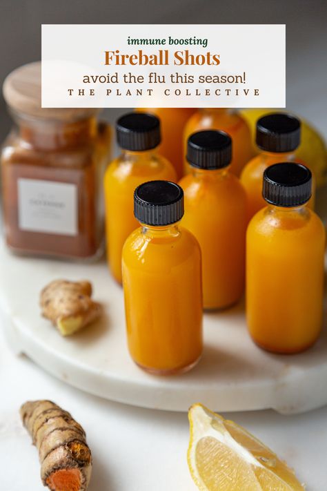 Vibrant wellness shots with fiery ingredients, including ginger, turmeric, cayenne, and lemon, to ignite your immune system. Immunity Shots, Turmeric Shots, Ginger Shot, Wellness Shots, Ginger Slice, Ginger Benefits, Fresh Turmeric, Ginger Turmeric, Avocado Smoothie