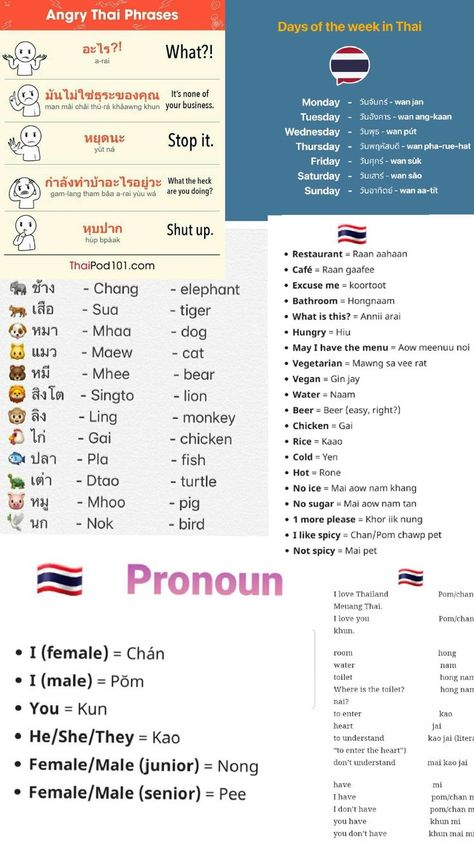 have fun 😁 Thai Phrases, Learn Thai Language, Thai Words, Learn Thai, Thai Language, What The Heck, Stop It, Shut Up