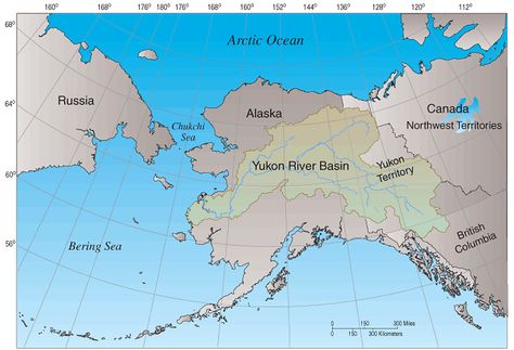 Yukon river map River Map, Yukon River, River Basin, Science Center, School Projects, Alaska, Columbia, Science, Map