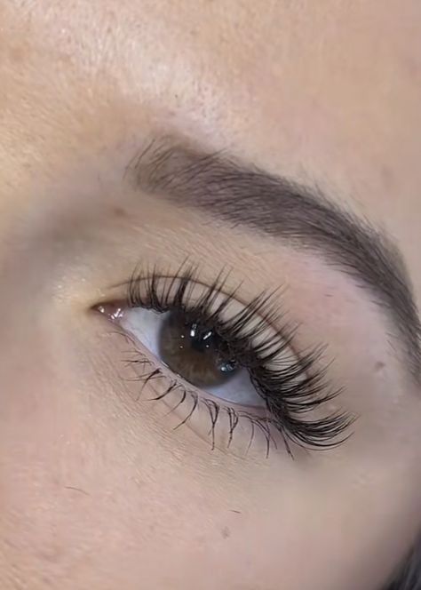 Natural Fake Eyelashes, Lash Extentions, Lashes Fake Eyelashes, Wispy Eyelashes, Lash Extensions Makeup, Lash Extensions Styles, Eyelash Extensions Styles, Kanekalon Hairstyles, Perfect Eyelashes