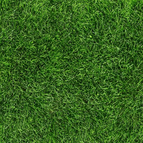 Why Artificial Turf Is Better Than Natural Grass Grass Texture, Artificial Grass Carpet, Fake Turf, Grass Backdrops, Plastic Grass, Grass Background, Grass Stains, Fake Grass, Artificial Lawn