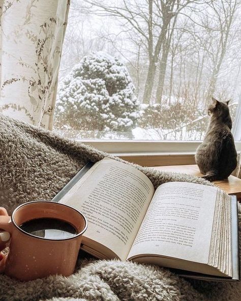 Winter Reading Aesthetic, Reading Aesthetic Wallpaper, Hygge Aesthetic, Cottagecore Winter, Winter Cottagecore, Winter Reading, Winter Reads, Reading Aesthetic, Cozy Aesthetic