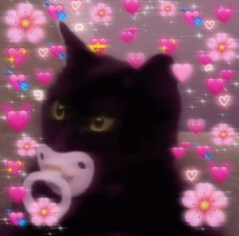 Aesthetic heart meme of a cute gato cat sucking a pacifier #aesthetic #pfp #cute #kawaii #cat #kitty #agere #agerepfp Pacifier Aesthetic, Heart Meme, Aesthetic Heart, Gato Cat, Aesthetic Pfp, Kawaii Cat