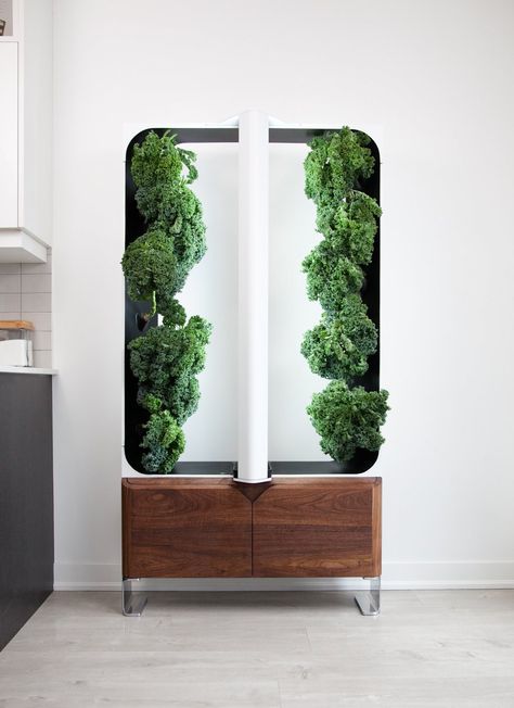 Furniture that feeds your home! Modern gardening for classic living. Our AEVA hydroponic growing system allows you to grow up to 16 vegetables, fruits and herbs all with 95% less water, no pesticides, no GMO and no environmental runoff.   Visit our website and follow us for more information! Hydroponics System Design, Hydroponics Aesthetic, Hydroponics Design, Biophilic Design Interiors, Sustainable Product Design, Indoor Farming, Arch Ideas, Hydroponic Growing, Vertical Farming