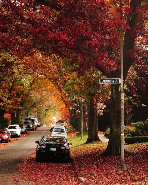 Daily View Vancouver on Instagram: “📷 @the.hollidays // #vancouverviews” Autumn In Vancouver, Vancouver Canada In October, Vancouver Canada Autumn, Vancouver Autumn, Vancouver Canada Photography, Canada Autumn, Canada View, Canada Vancouver, Canada Ontario