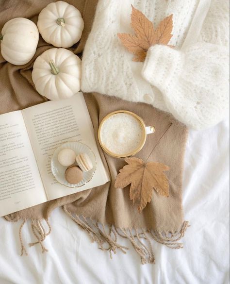 Cozy Soft Aesthetic, Minimalist Fall Aesthetic, Autumn Aesthetic White, Beige Fall Aesthetic, Fall Neutral Aesthetic, White Fall Aesthetic, Fall Asthetic Photos, Neutral Autumn, White Autumn