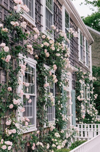 Rose Covered Cottage in Nantucket | Content in a Cottage Shaded Garden, Beach Cottages, Climbing Roses, London Cottage Aesthetic, Floral House Exterior, Pastel House Exterior, Rose Cottage, Cool Ideas, Garden Cottage