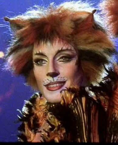 cheshire cat makeup...? and sort of colour scheme with the stripes Cats The Musical Costume, Cheshire Cat Makeup, Jellicle Cats, Animal Makeup, Cats Musical, Cat Call, Theatrical Makeup, Cat Sketch, Hairless Cat