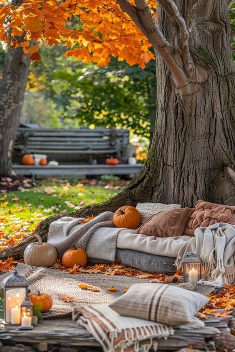 Outdoor Fall Picnic, Fall Aesthetic Iphone Wallpaper, Fall Aesthetic Iphone, Easy Thanksgiving Table Decor, Thanksgiving Table Decor Ideas, Fall Bonfire, Outdoor Fall Decor Ideas, Outdoor Fall Decor, Orange Blanket