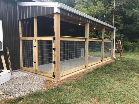 Dog Kennel Ideas, Diy Dog Run, Backyard Dog Area, Kennel Ideas Outdoor, Cheap Dog Kennels, Dog Kennel Designs, Kennel Ideas, Build A Dog House, Diy Dog Kennel