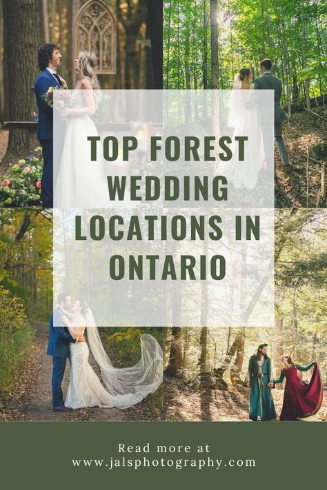 Best Places in Ontario for a Forest Wedding » jals photography Free Wedding Venues, Forest Wedding Reception, Wedding Venues Ontario, Forest Wedding Ceremony, Forest Wedding Venue, Winter Wedding Venues, Smallest Wedding Venue, Being Outside, Cottage Wedding